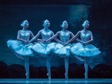 Лебединое озеро