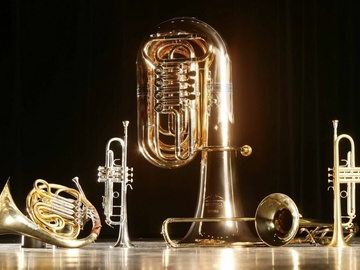 Медные духовые. Туба