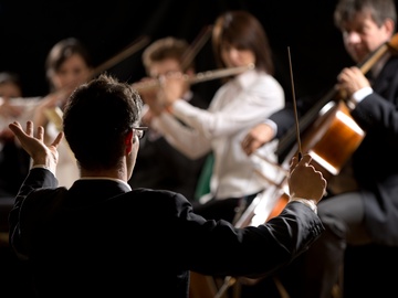 Из Рима в Вену