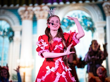 Новые приключения Бременских музыкантов