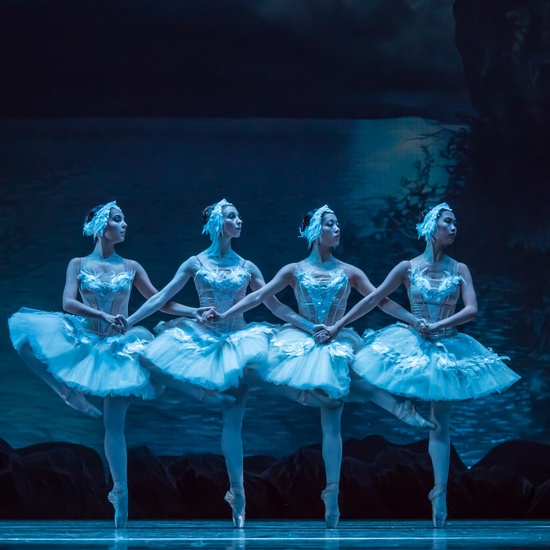 Лебединое озеро