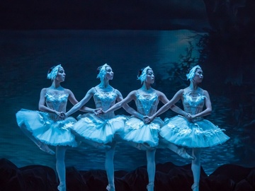 Лебединое озеро