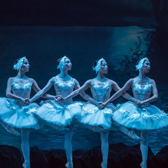 Лебединое озеро