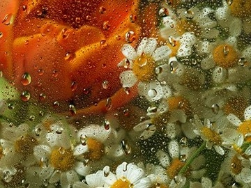 Оркестр "Модерн"