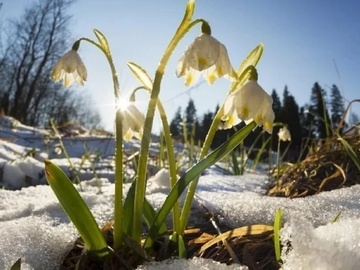 Рождение весны