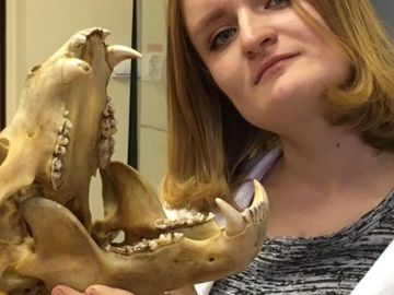 Уральские хищники: пещерные медведи. Лекция