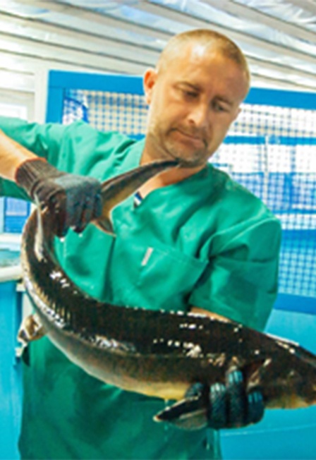 Гастрономический тур