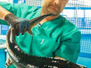 Гастрономический тур