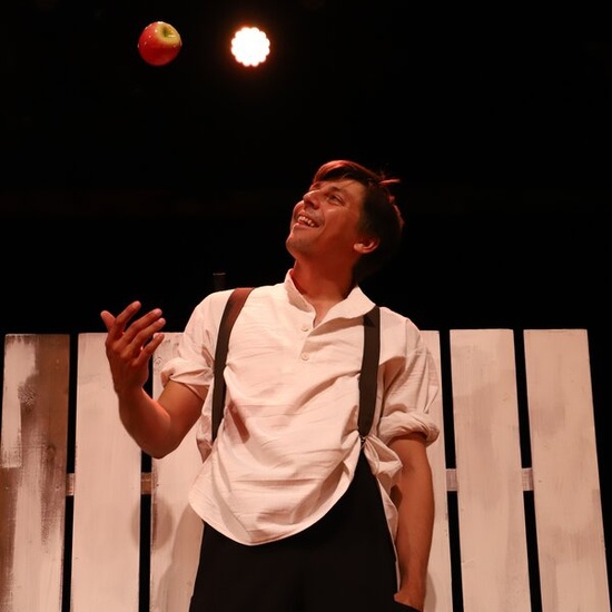 Приключения Тома Сойера