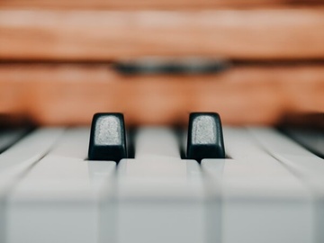 Любовь под сводами дворцов