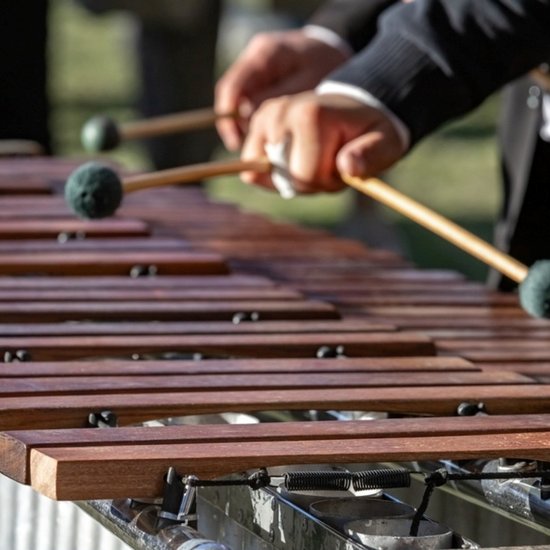 Ударные. Ксилофон