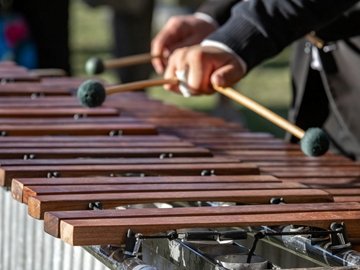 Ударные. Ксилофон