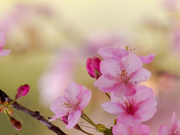 Поэтический вечер "Босиком до весны"