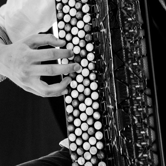 Народные инструменты. Баян