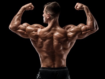 Titan Wrestling. Спасители рестлинга