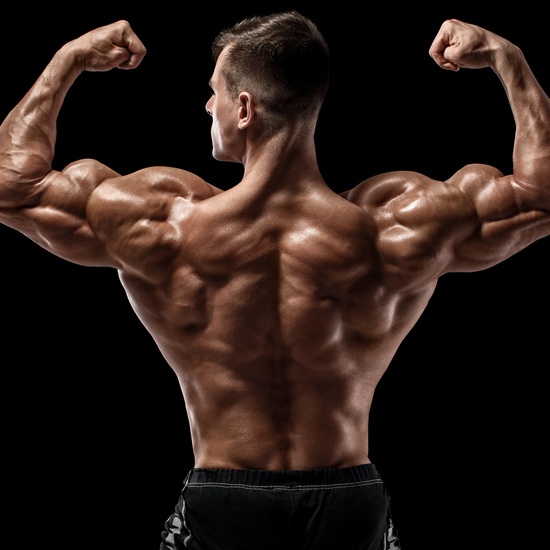 Titan Wrestling. Спасители рестлинга