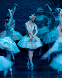 Лебединое озеро (Театр оперы и балета)