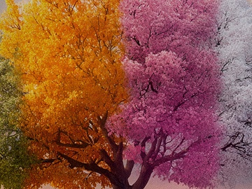 Времена года...*не Вивальди