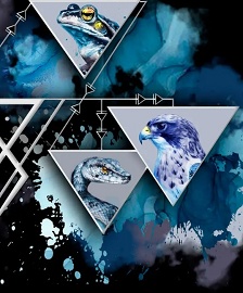 Королевство кривых зеркал