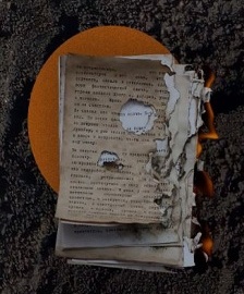 451 градус по Фаренгейту