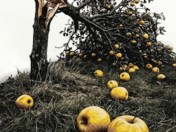 Все мои сыновья