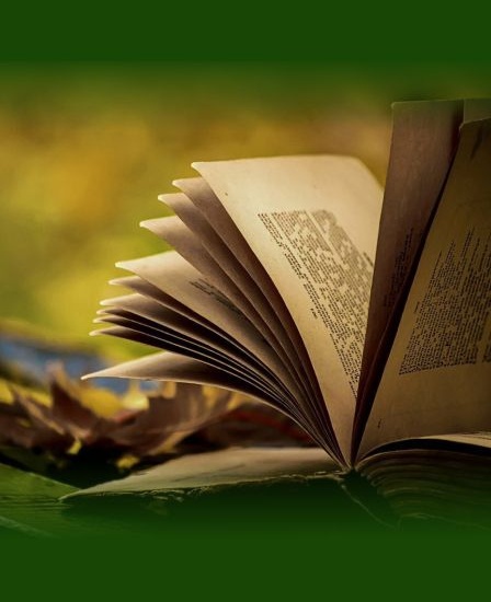 Литературное приключение «Тайны забытых книг»