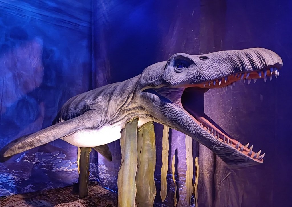 ДИНОЗАВРЫ МОРСКИХ ГЛУБИН - ИНТЕРАКТИВНАЯ НАУЧНО-ОБРАЗОВАТЕЛЬНАЯ ВЫСТАВКА