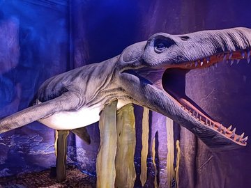 Выставка "Динозавры морских глубин"